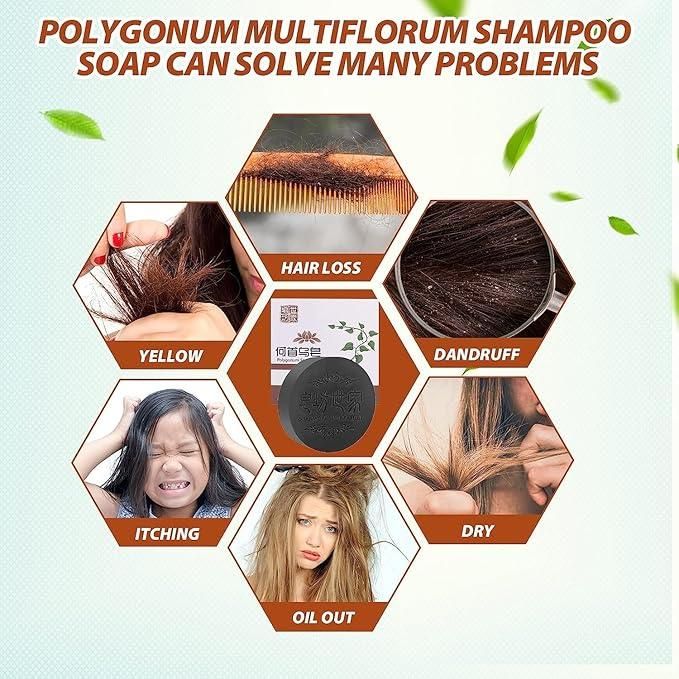 Polygonum Multiflora Shampoo Bar treats hair issues like hair loss, dandruff, yellow hair, itching, oiliness, and dryness